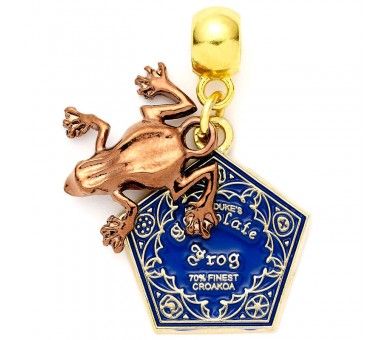 Charm Chocolate Frog Harry Potter