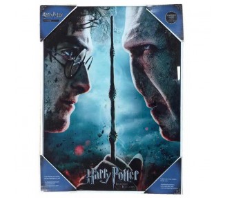 Poster cristal Voldemort vs Harry Potter