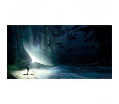 Poster cristal Expecto Patronum Harry Potter