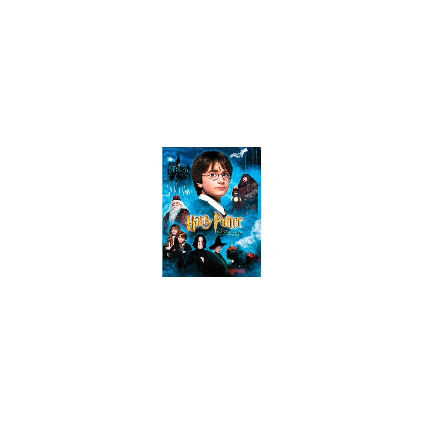 Poster cristal Harry Potter y la Piedra Filosofal Harry Potter