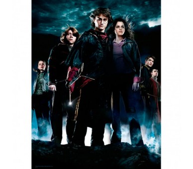 Poster cristal Grupo Harry Potter