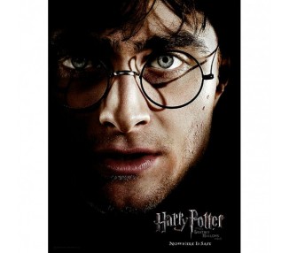 Poster cristal Harry Potter