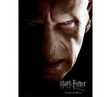 Poster cristal Voldemort Harry Potter