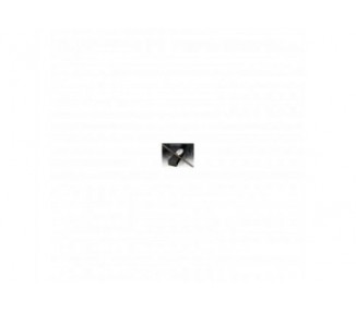 Varita Replica Harry Nigel 1/1