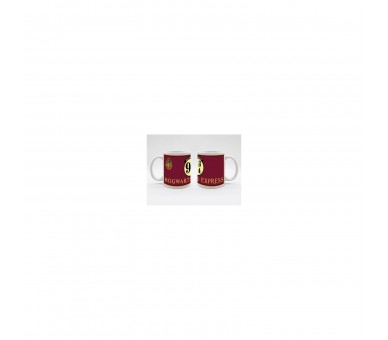 Taza Last Level Harry Potter Hogwarts Express