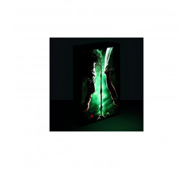 Harry Potter - Lienzo Con Iluminacin 30X40 Cm Harry Vs. Vold