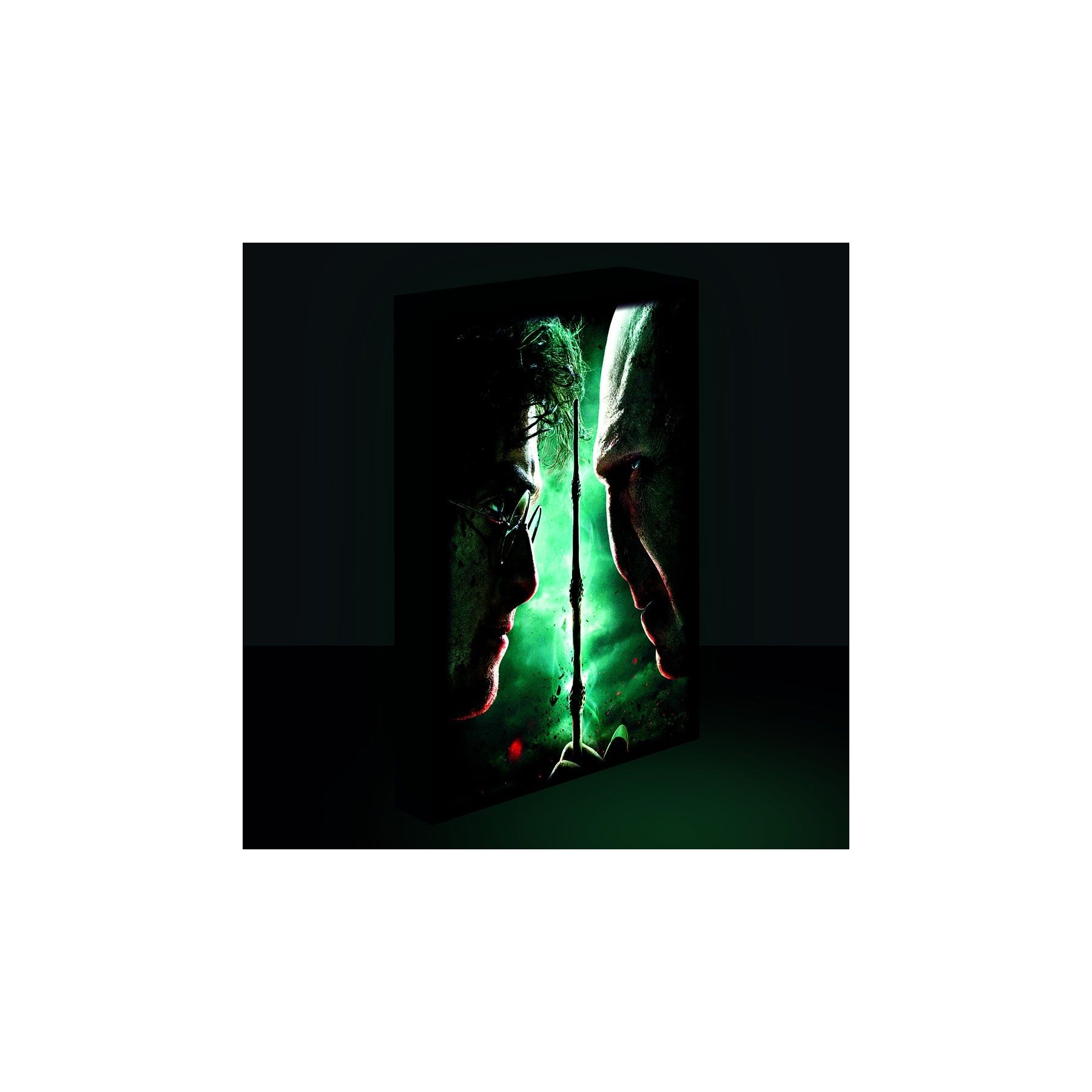 Harry Potter - Lienzo Con Iluminacin 30X40 Cm Harry Vs. Vold