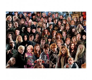 Puzzle Harry Potter 1000pzs