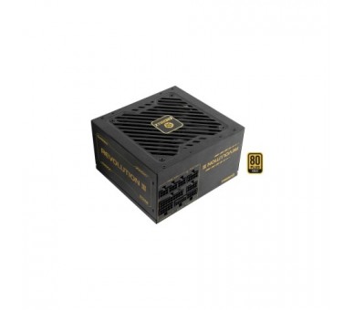 Fuente De Alimentacion Enermax Revolution Iii 1000W 80+ Gold
