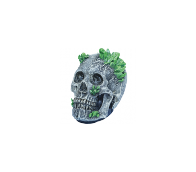 Artículos De Decoración Cráneo De Kriptonita