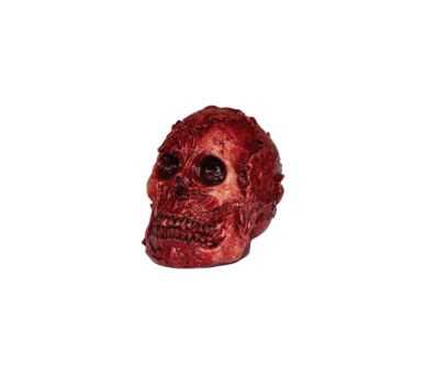 Artículos De Decoración Cráneo Descarnado