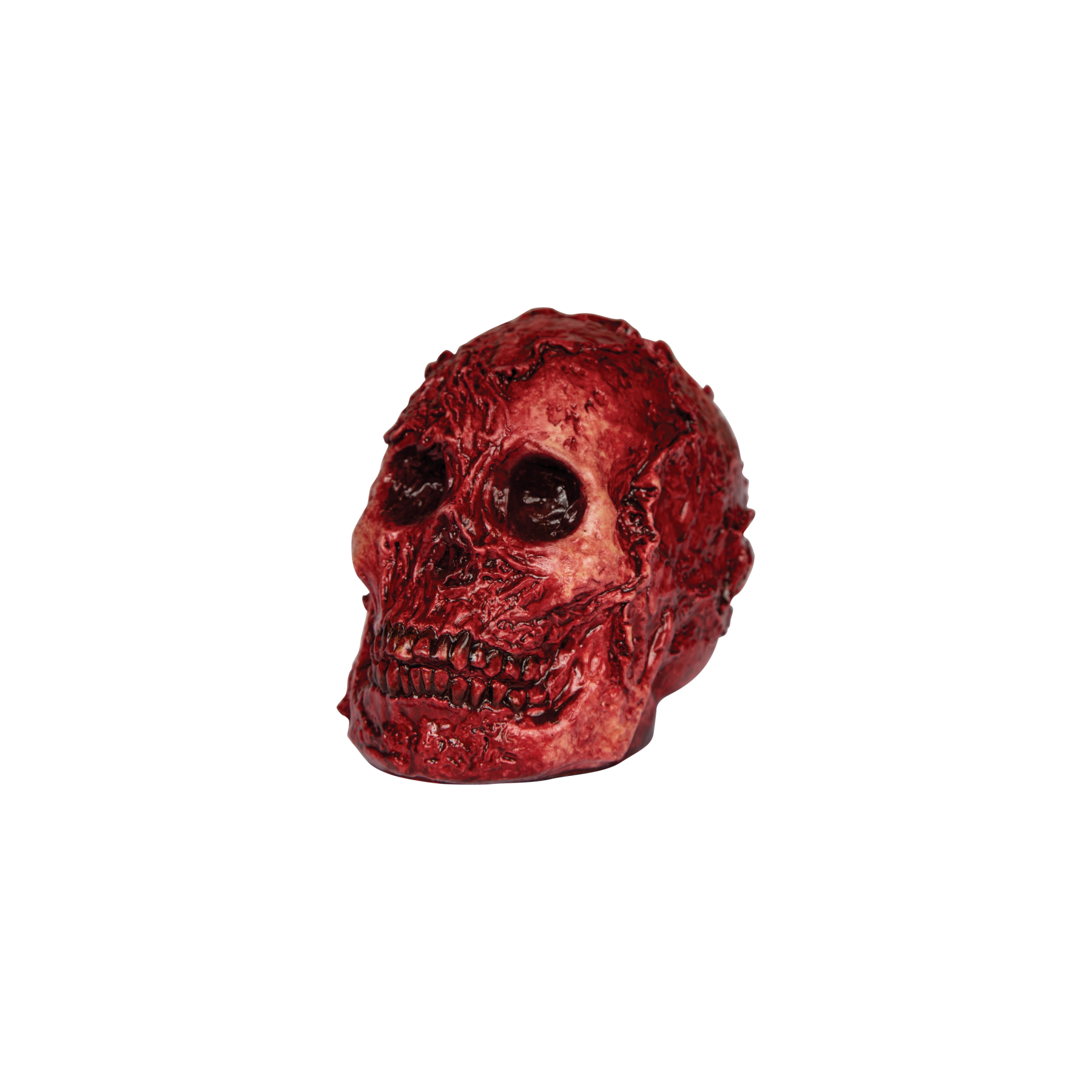 Artículos De Decoración Cráneo Descarnado