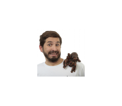 Muñeco Para Hombro Tarantula