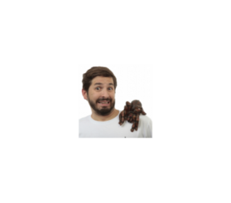 Muñeco Para Hombro Tarantula