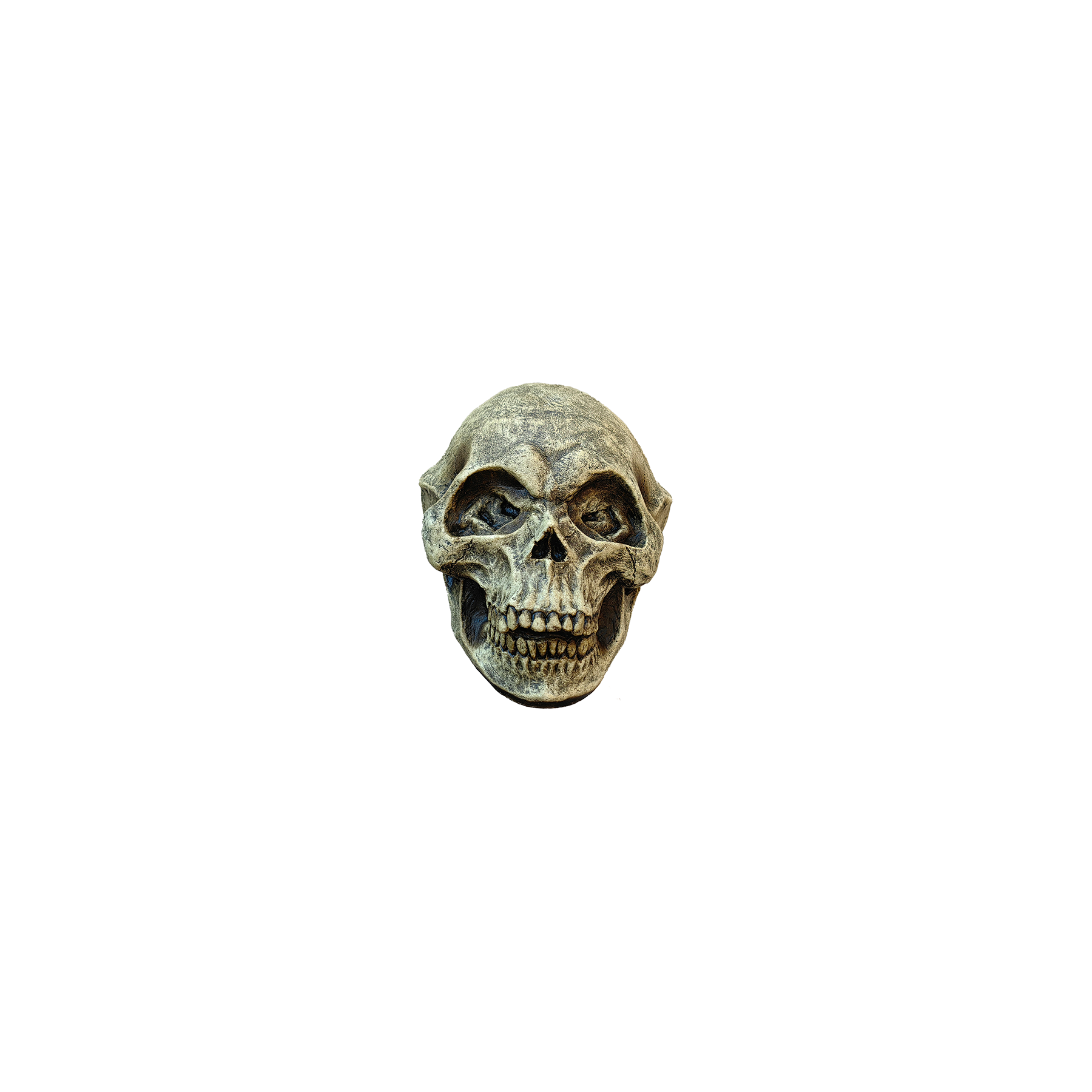 Artículo Decorativo Calavera Alien 12,7 Cm