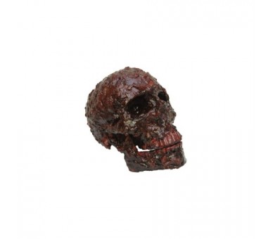 Artículo Decorativo Calavera Cubierta De Costras De Sangre 1