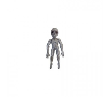 Decorativo De Casa Area 51 Prop