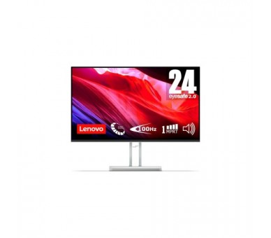 Lenovo L24I-4A 24 Gris / Monitor 24" 100Hz 1Ms Full Hd