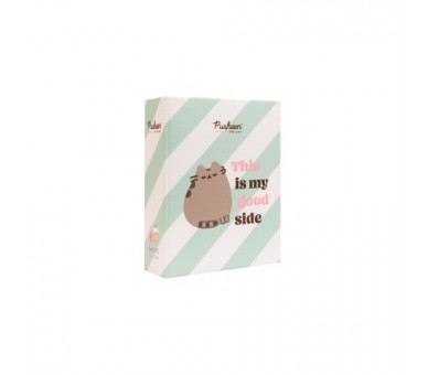 Album De Fotos Pusheen