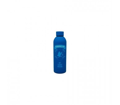 Botella Acero Inoxidable Ravenclaw Harry Potter 700Ml