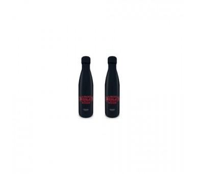 Pyr Botella Metálica Stranger Things