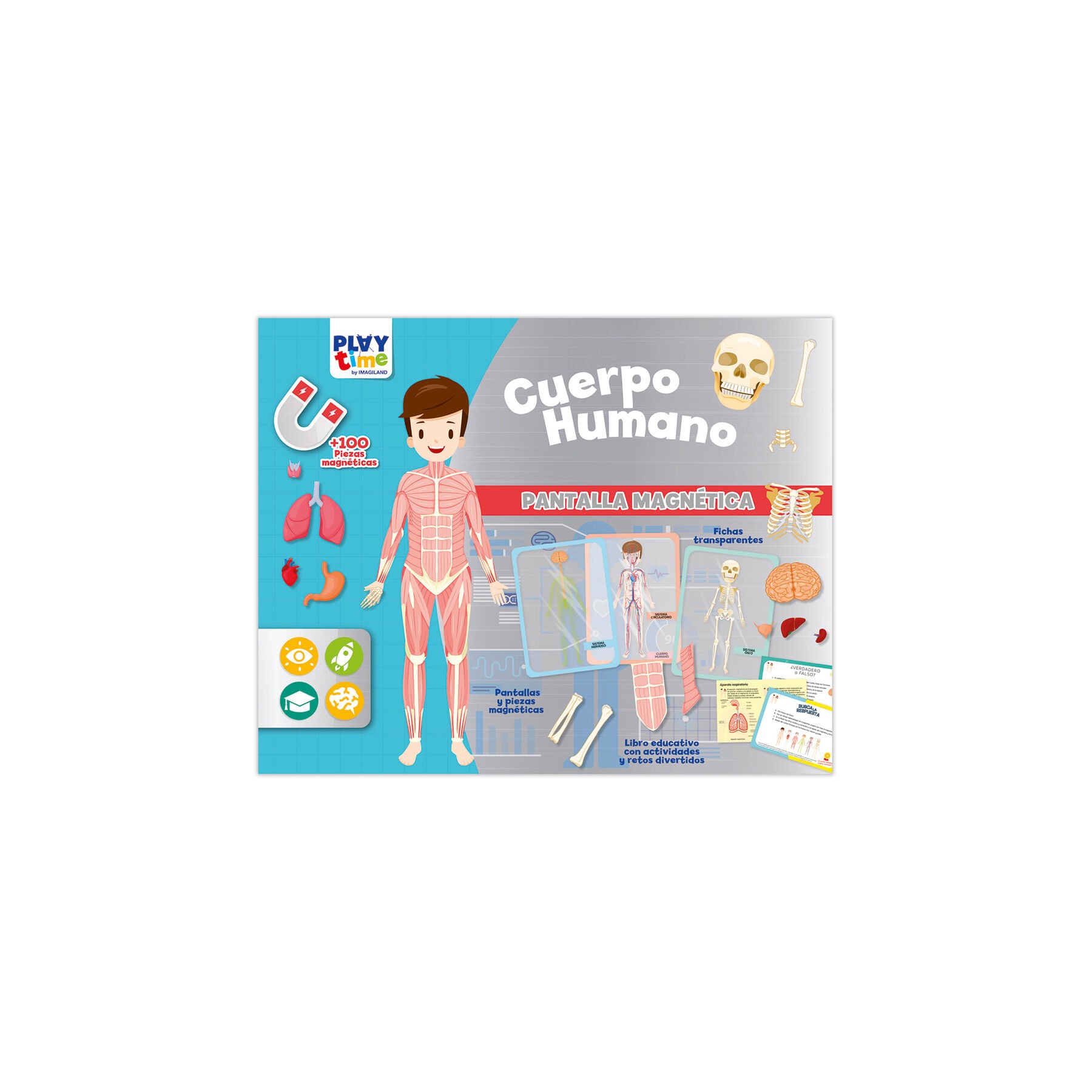 Pantalla Magnetica El Cuerpo Humano español