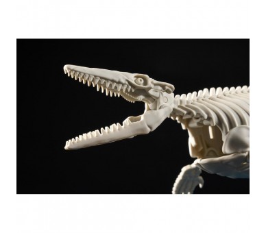 Figura Model Kit Mosasaurus Plannosaurus