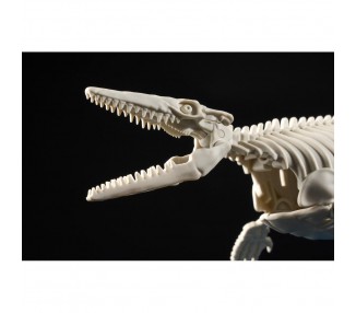 Figura Model Kit Mosasaurus Plannosaurus