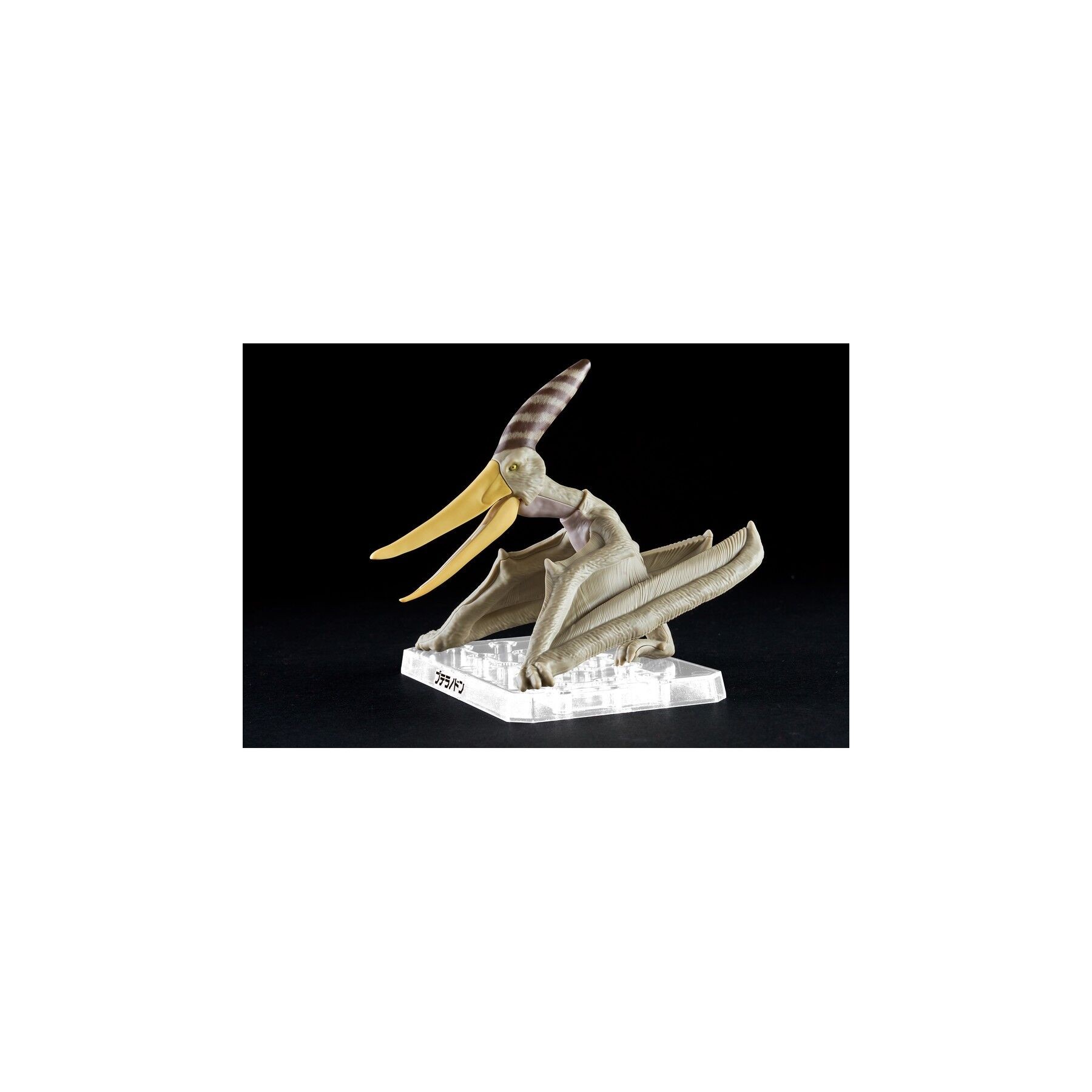 Figura Model Kit Pteranodon Plannosaurus