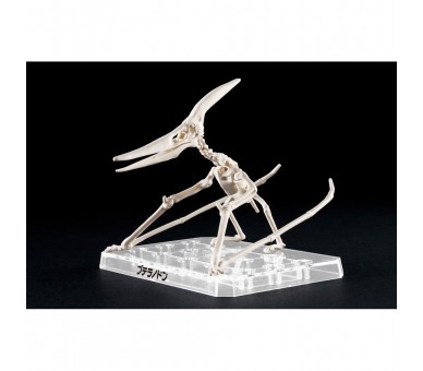Figura Model Kit Pteranodon Plannosaurus