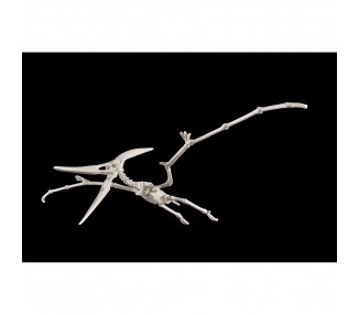 Figura Model Kit Pteranodon Plannosaurus