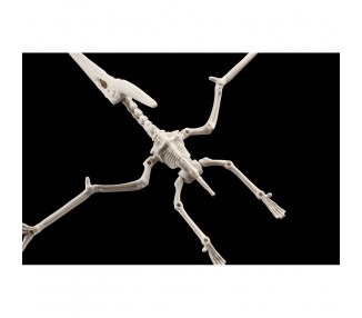 Figura Model Kit Pteranodon Plannosaurus