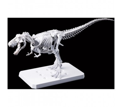 Figura Model Kit Tyrannosaurus Painting Version Plannosaurus