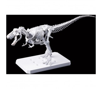 Figura Model Kit Tyrannosaurus Painting Version Plannosaurus