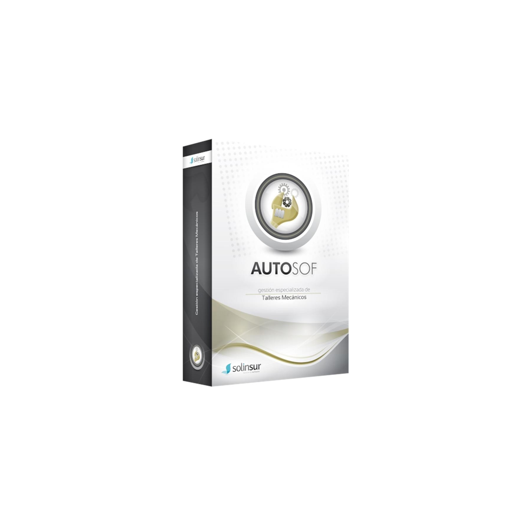 Programa De Gestion Integral De Talleres De Coches Monopuest