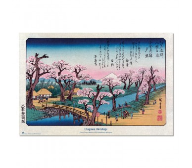 Poster Cerezos en flor en el terraplén de Koganei Hiroshige