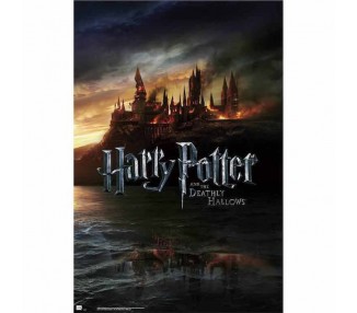 Poster Harry Potter y las Reliquias de la Muerte