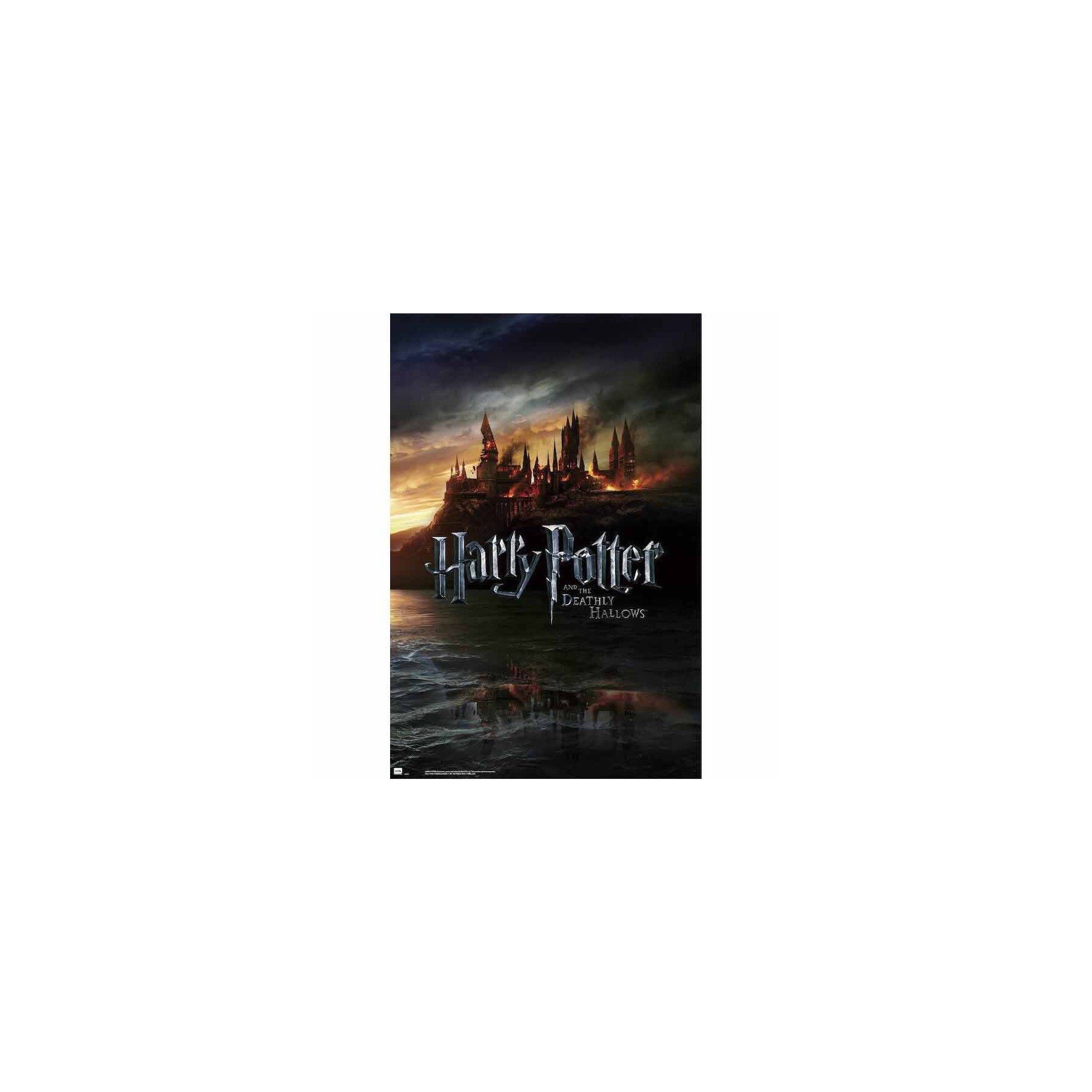 Poster Harry Potter y las Reliquias de la Muerte