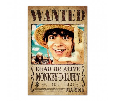 Poster Se Busca Monkey D. Luffy One Piece