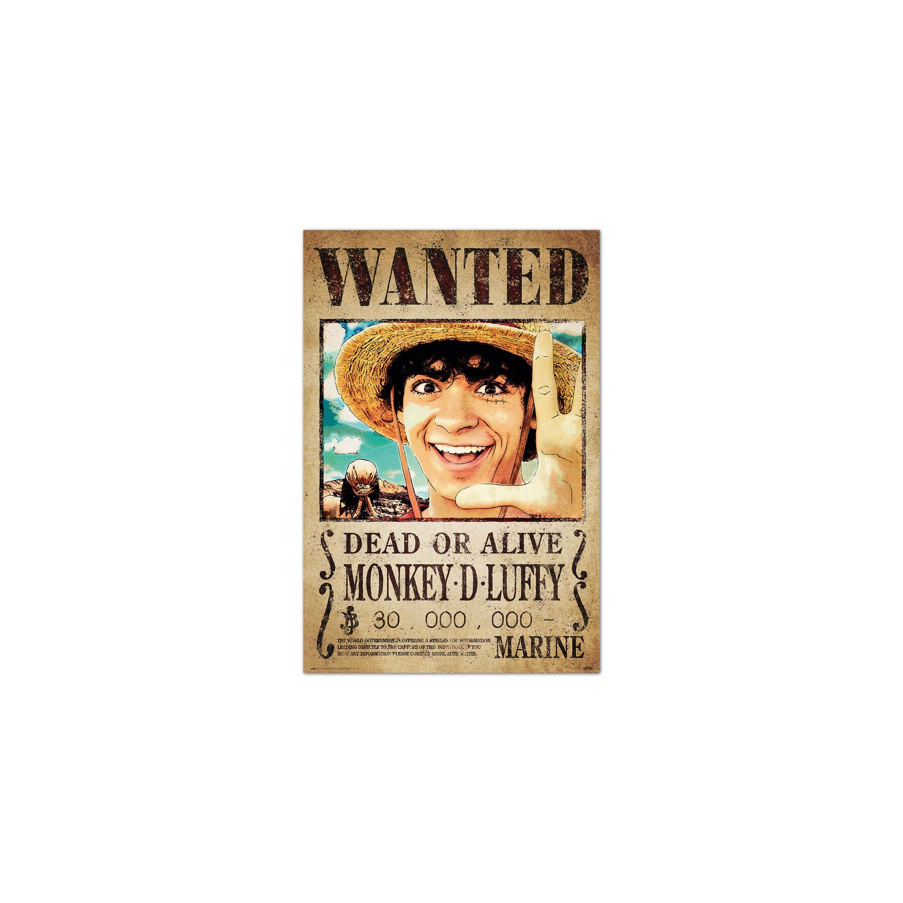 Poster Se Busca Monkey D. Luffy One Piece