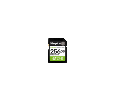 Tarjeta De Memoria Kingston Canvas Select Plus 256Gb Sd Xc/