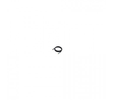 Cable Usb-C Macho Usb-C Macho Usb 3.2 2M Transferencia 10G 5