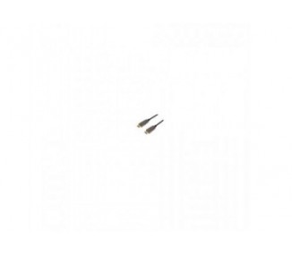 Aspirador Escoba Aiwa Zenkaisui Easy Avc-600 Con Cable 600W