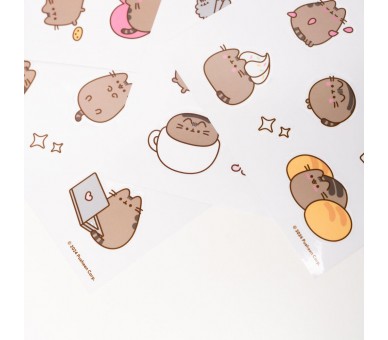 Pegatinas reutilizables Moments Pusheen