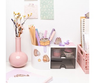 Pegatinas reutilizables Moments Pusheen