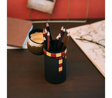 Portatodo 3D Harry - Harry Potter