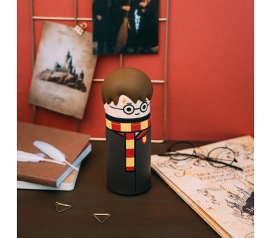 Portatodo 3D Harry - Harry Potter
