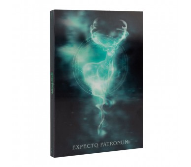 Cuaderno A5 Lenticular Harry Potter