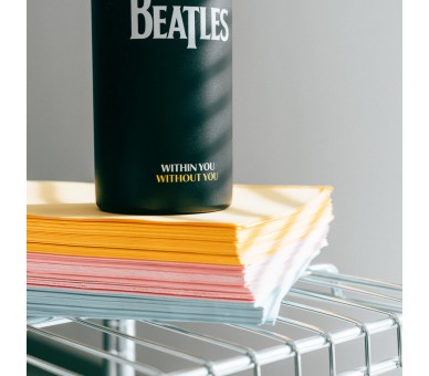 Botella acero inoxidable The Beatles 500ml