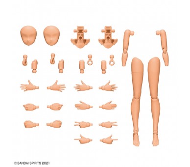 Set Partes Cuerpo Brazos y Piernas 30MS Color C